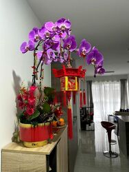 The Florence Residences (D19), Apartment #529328131